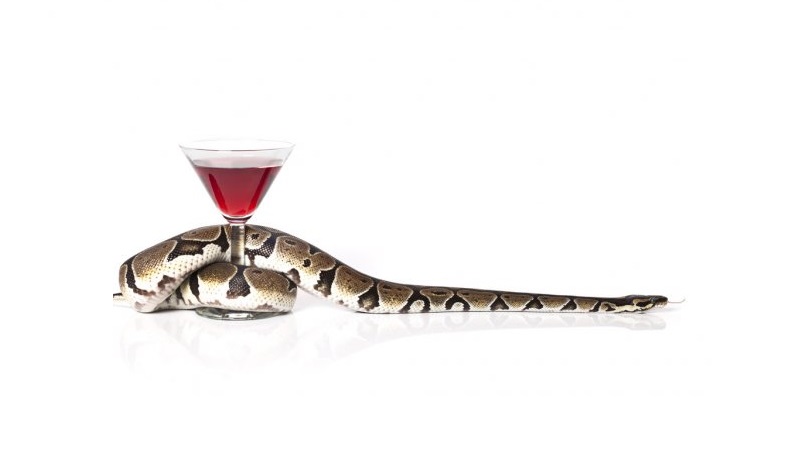 La serpiente y la copa de vino