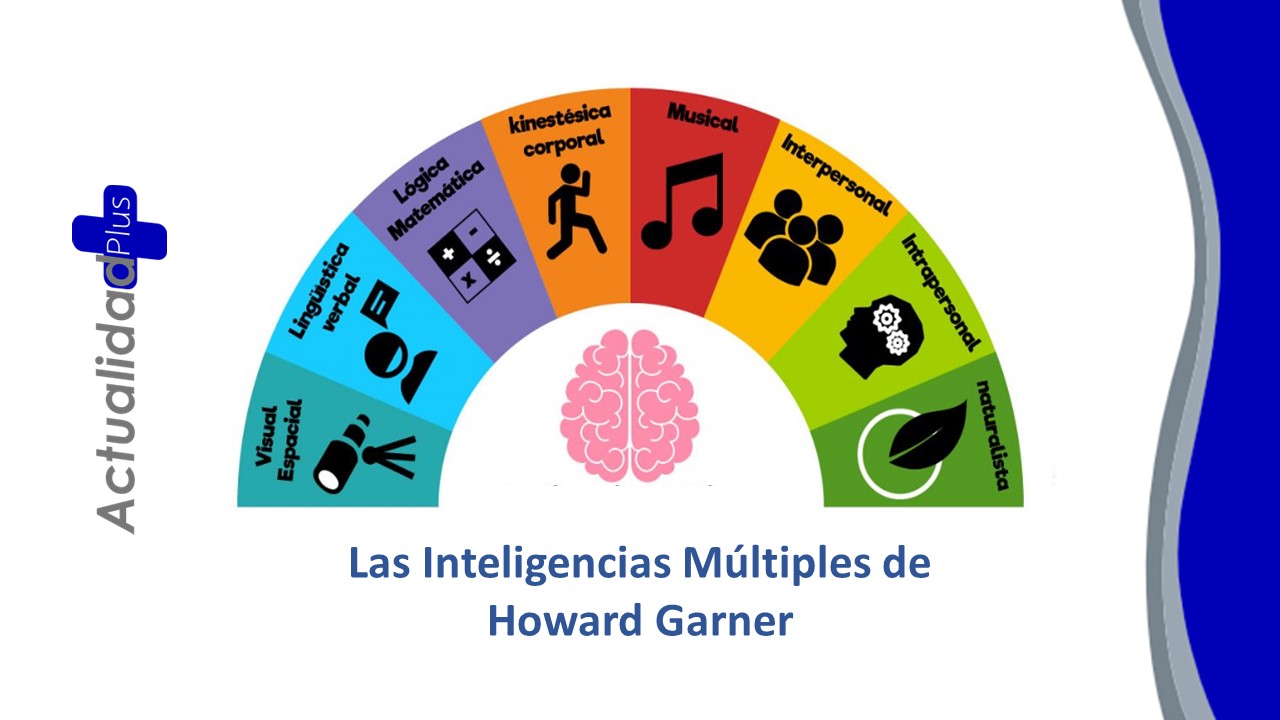 9 Tipos De Inteligencias Multiples De Howard Gardner 